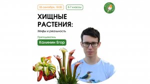 Хищные растения: мифы и реальность