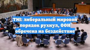 TNI: либеральный мировой порядок рухнул, ООН обречена на бездействие