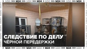 Следователи изъяли электрошоковые ошейники в зоогостинице в подмосковном Чехове  - Москва 24