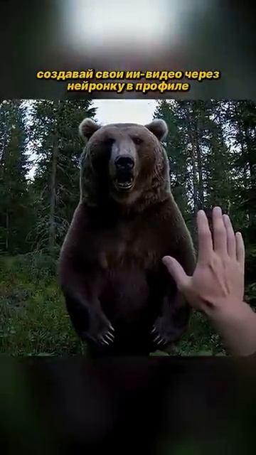 я свой