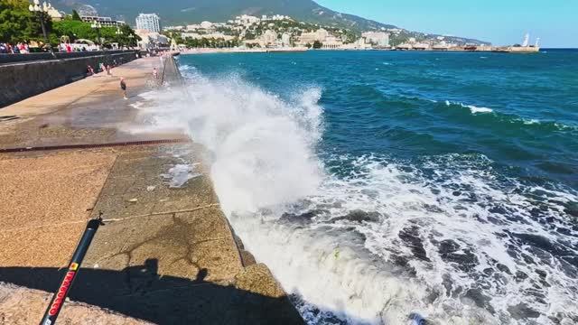 Погода на море 5 сентября 2025 Рыбалка не удалась. Ялта Крым смотреть онлайн