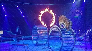 Большой Московский Государственный Цирк