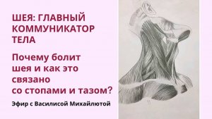 Шея: главный коммуникатор тела! Почему болит шея и как это связано со стопами и тазом?