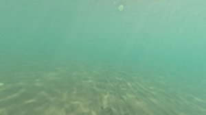 Что видит русалка живущая в Чёрном море