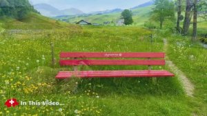 🚶 SmartTV 4К ➤ 🌺  Аппенцелль, Швейцария! 🌺 Пешеходная экскурсия по сельской местности. 🌺