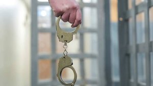 Бросившую новорожденную дочь у мусоропровода женщину арестовали в Ленобласти