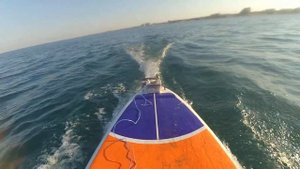 Двухмоторный плавник