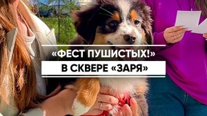 «Фест пушистых!» в Казани