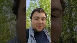 Доброе утро субота 6 сентября насобирал грибы Грузди