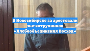 В Новосибирске за арестовали экс-сотрудников «Хлебообъединения Восход»