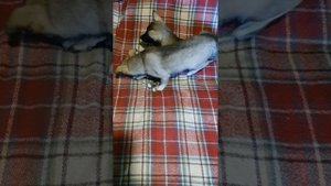 Их жизнь в наших руках