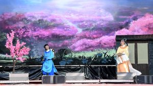 26.07.2025 Цветок Персика, Китайская опера, ВДНХ, VDNKH, China Opera.