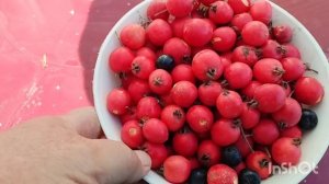 Всего по немножку /как живут в русской деревне