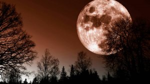 КОРИДОР ЗАТМЕНИЙ С 7 ПО 21 СЕНТЯБРЯ