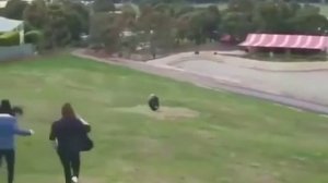 Безумец и резиновая камера / видео приколы 2025 смотреть онлайн / приколы видео самые смешные /