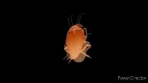 таракан серёга тонсует пот тарастан супер гуд