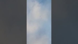 головастики молодёжь.