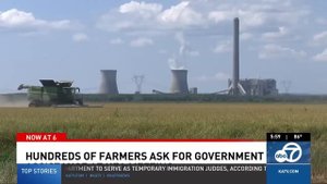 Best video of Tik Tok! 06.09.25 / 09