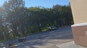 31.08.25. Гуляю с Дмитрием. Негде присесть, нет лавочек.