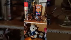 Утренний эфир от 6.09.25 делаю грибы, мою посуду, топлю баню и болтаю с вами