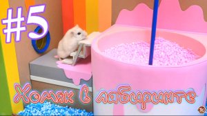 Хомяк в лабиринте (5 серия)