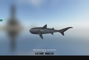 Пелагическая557