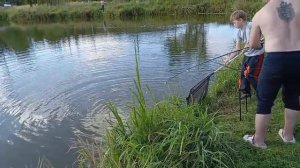 Карп радут.