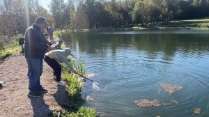 Поимки на основном