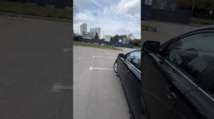 Музейный авенсис