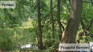 Усадьба Быково Релакс