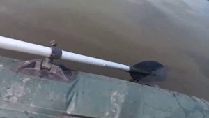 Я , лодка и собака
