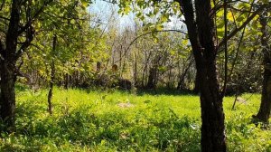 Свеча догорая, шипит и трещит...