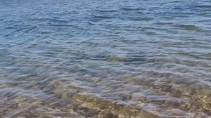 Азовское море ⛵