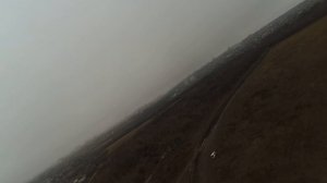 2017-01-02 Follow the Reptile S800