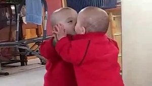 Малыш Нарцисс/ видео приколы 2025 смотреть онлайн / приколы видео самые смешные /