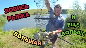 РЫБАЛКА НА ФИДЕР//ОТДЫХ НА ПРИРОДЕ//КУПАТЫ НА КОСТРЕ