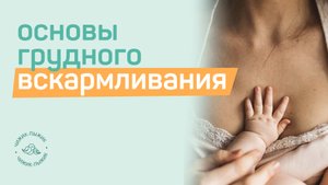 ГРУДНОЕ ВСКАРМЛИВАНИЕ / главные вопросы // как прикладывать малыша к груди