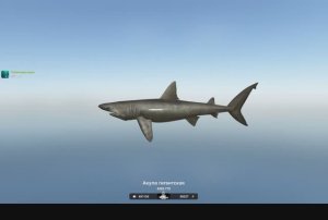 Гигантская 4365