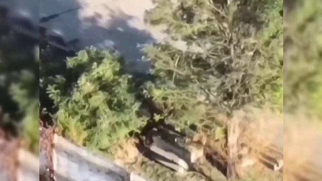 Карлсон, Малыш и Ко... 06 09 25