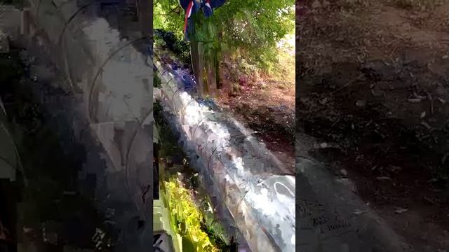 Дима вернулся ходим по заросшим трубам на этот раз стрим не забанят