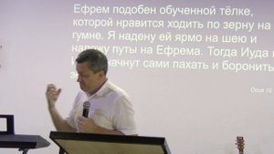 Двигаться дальше | Николай Кобзев | 31.08.25