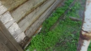 Ремонт старой бани в деревне.