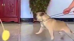 Финляндии не хватает