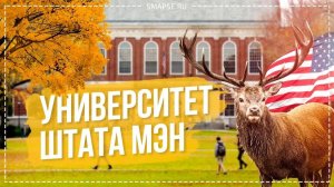 Как поступить в американский вуз? Университет штата Мэн: University of Maine (Umaine), Учеба в США