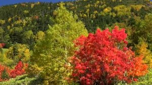 Музыка Для Души 🍁 Осень (Beautiful Autumn) 🍁