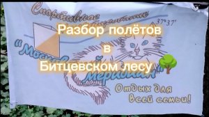 Разбор полетов в Битцевском лесу 🌳