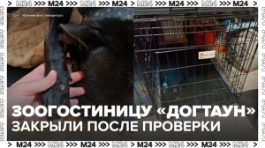 Подмосковная зоогостиница для передержки собак закрыта после проверки - Москва 24