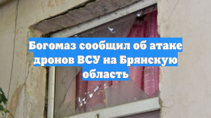 Богомаз сообщил об атаке дронов ВСУ на Брянскую область