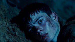 Сосед мой сверху - https://stihi.ru/2025/01/24/1964