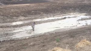 Веселуха после дождя / видео приколы 2025 смотреть онлайн / приколы видео самые смешные / новые